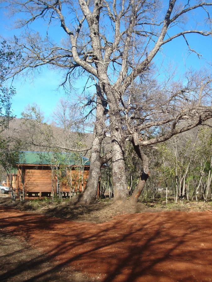 Cabanas Roble Quemado Las Trancas Kamer foto